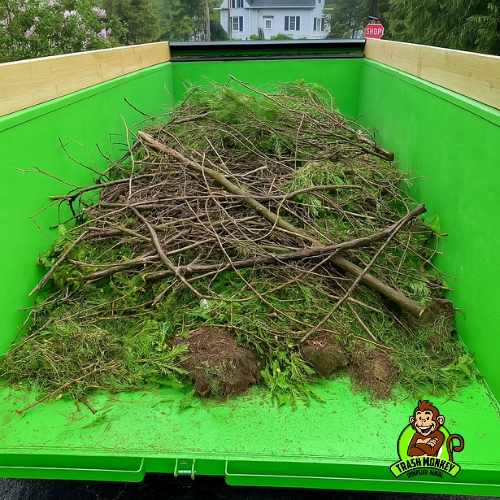 Yard Waste & Landscape Cleanup